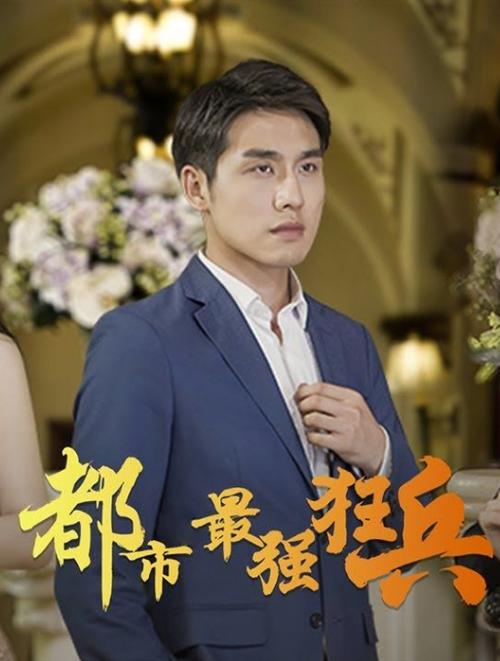 书海阁小说网都市最强狂兵