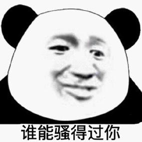 表情包,熊猫图标