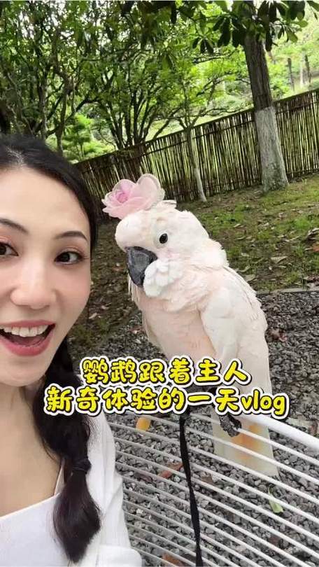 鹦鹉的一天vlog图标
