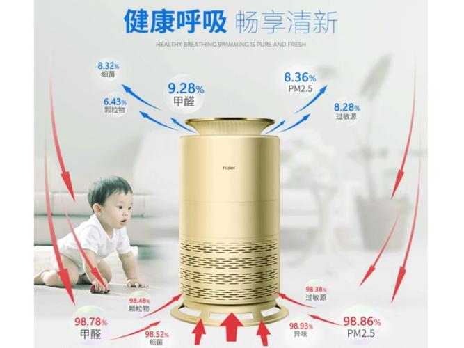 房间异味快速去除异味图标