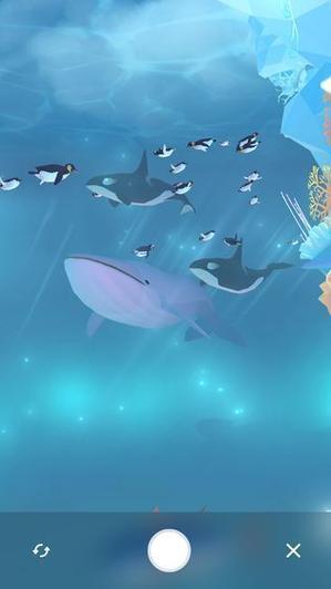 金多多水族馆靠谱吗图标