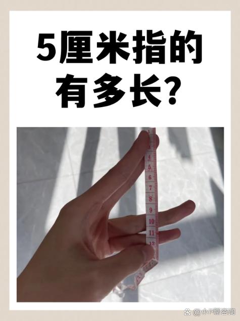 5.5厘米有多长图片