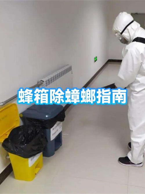 蜂箱潮湿好还是干燥好
