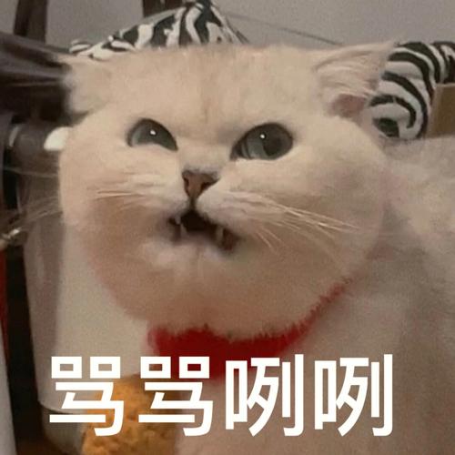 超凶表情包游戏截图