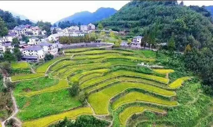 我的世界怎么让村民生孩子视频