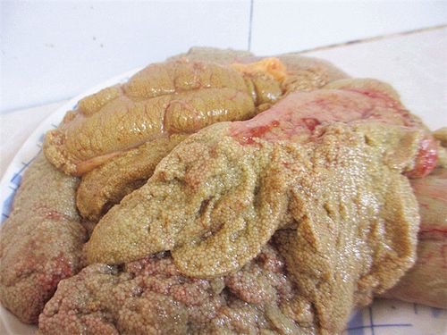 鲤鱼鱼子图标