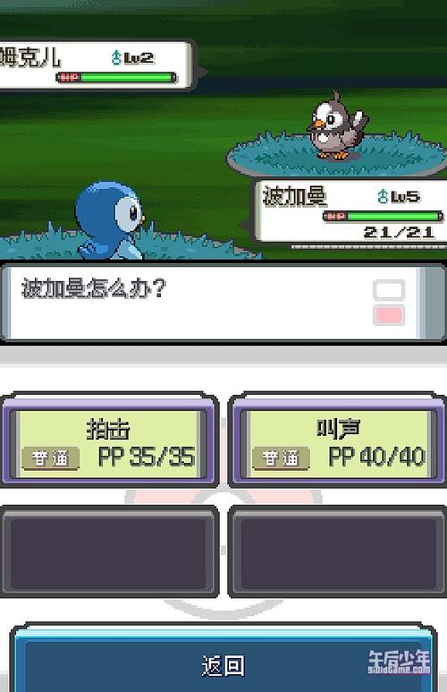 nds宝可梦珍珠攻略缩略图