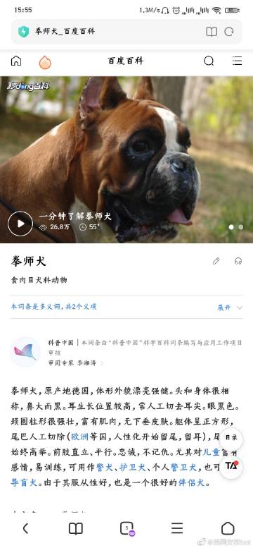 打q什么意思网络用语缩略图