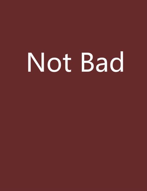 no bad什么意思中文游戏截图