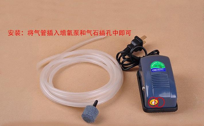 鱼缸增氧过滤泵不增氧咋办