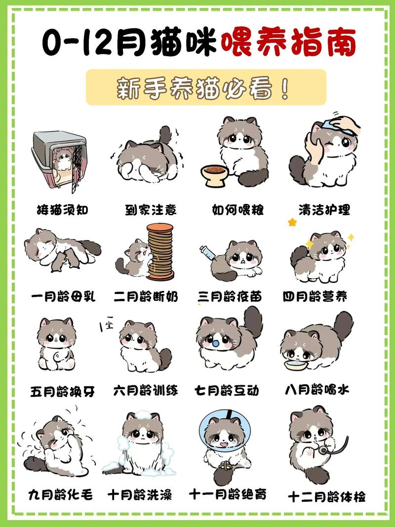 lol新手打野教程