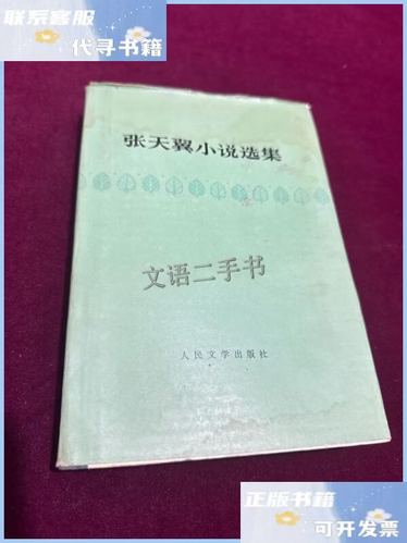 天翼小说中文游戏截图