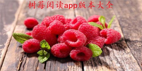 树莓阅读1.2.7缩略图