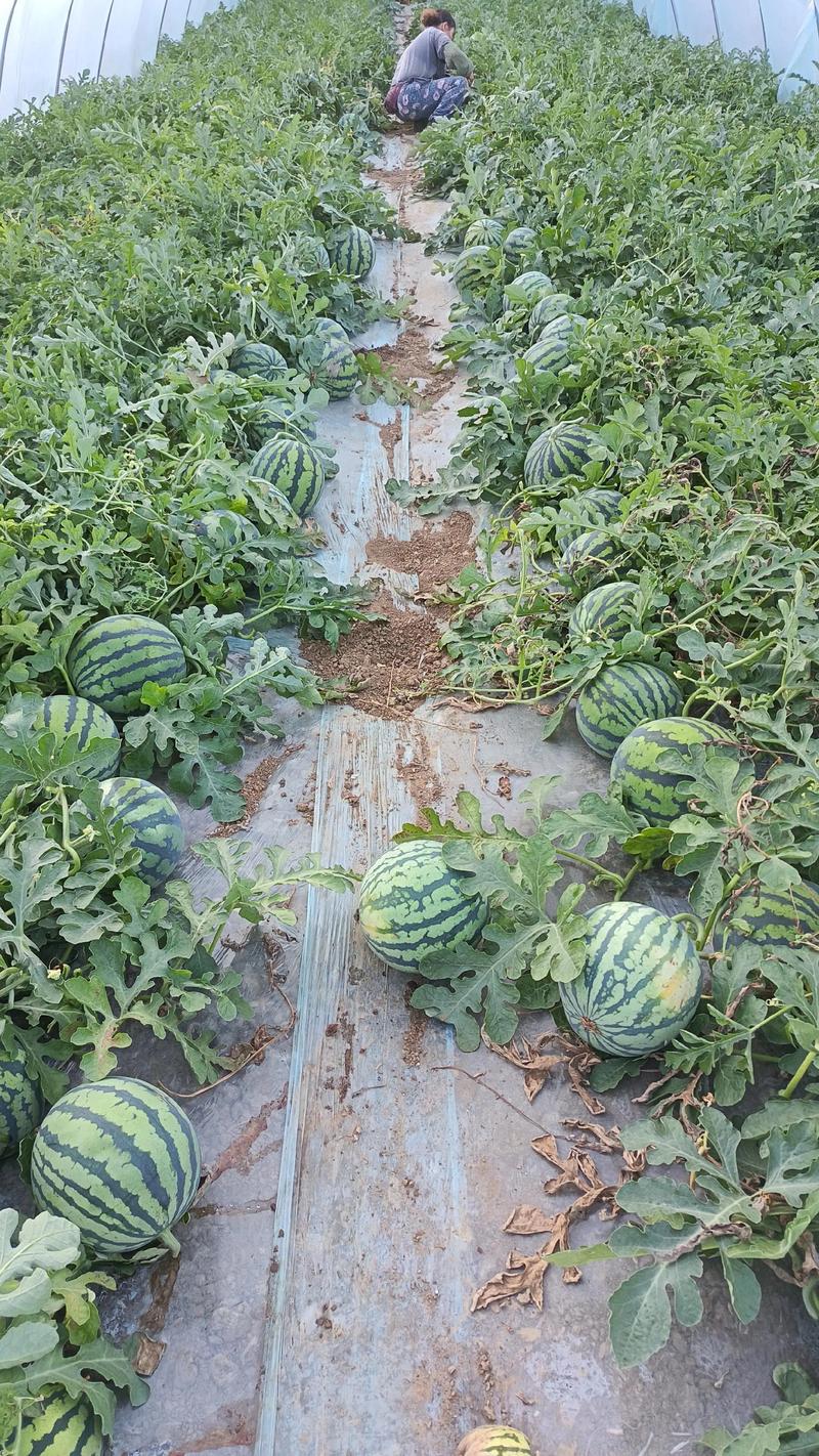 梅钢抱西瓜,捡芝麻?