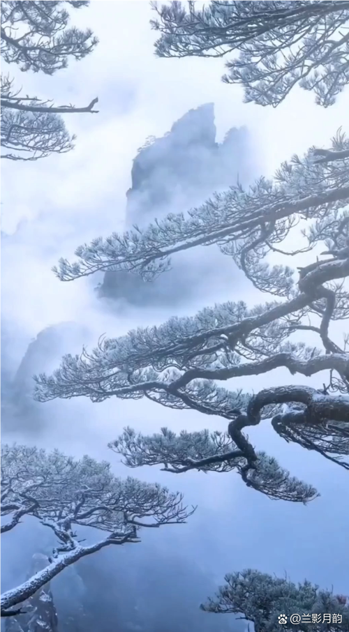 雪景拍摄技巧缩略图