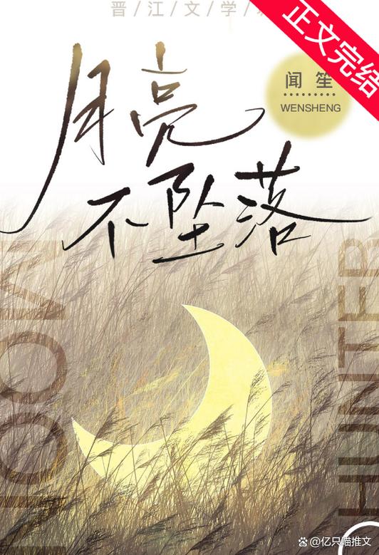 月亮不坠落小说全文免费阅读缩略图