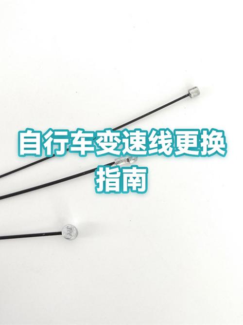自行车变速器拨不了挡了怎么修缩略图