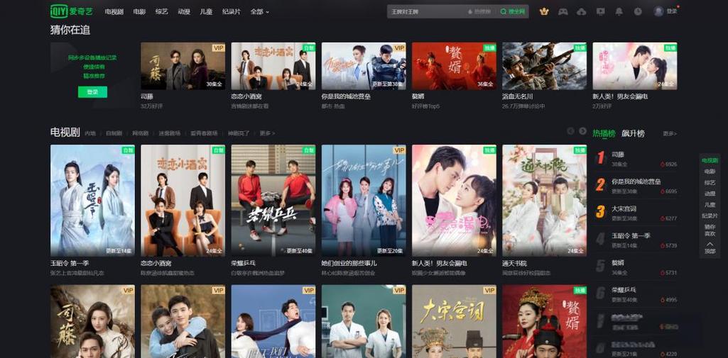 vip格式的视频怎么播放缩略图