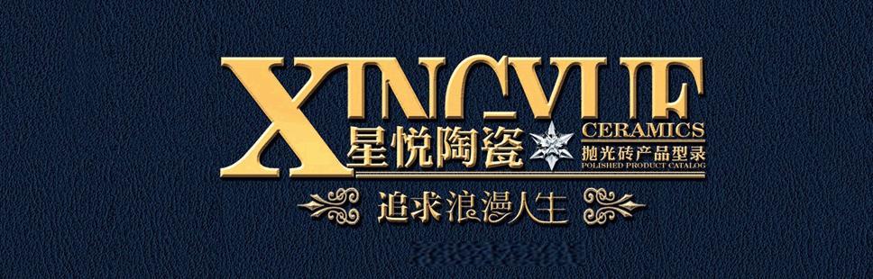 星悦瓷砖800*800价格表图标