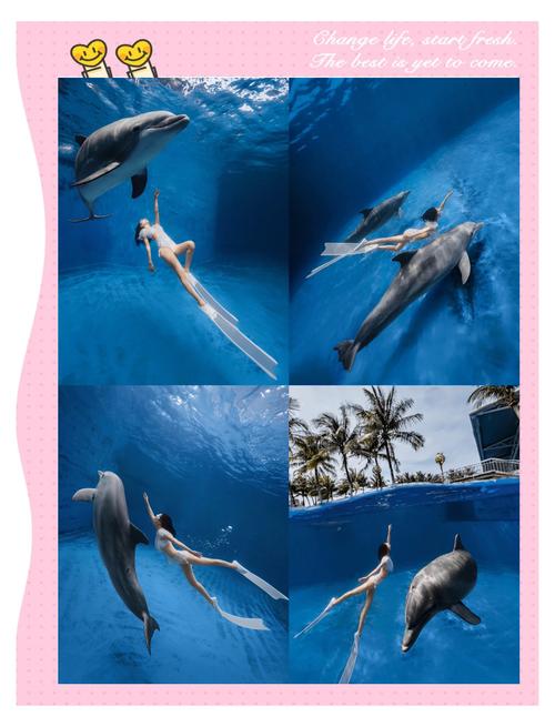 海豚按摩器的妙用