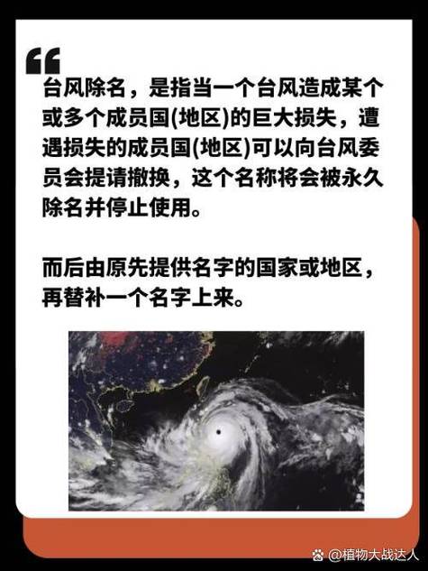 2026年已被除名台风