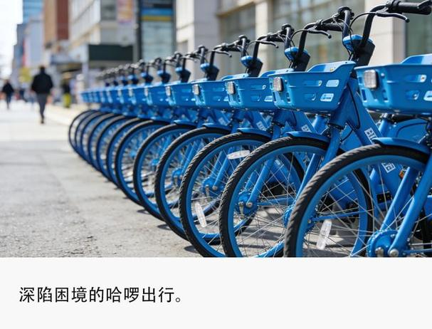 哈罗单车怎么骑图标
