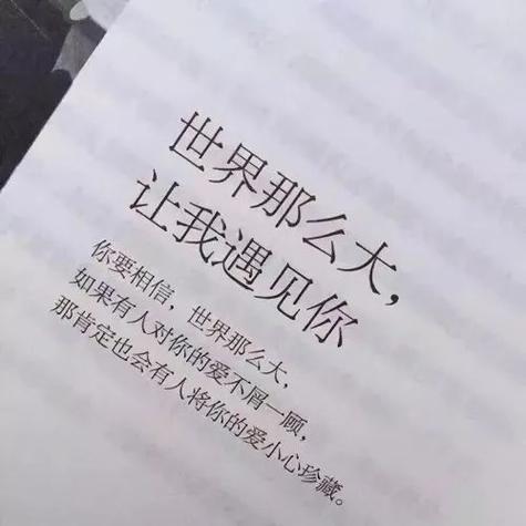 网图封面