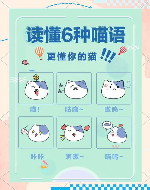 喵语加密器2.0图标