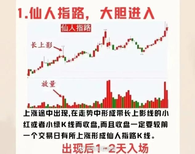 破仙人指路第三讲内容