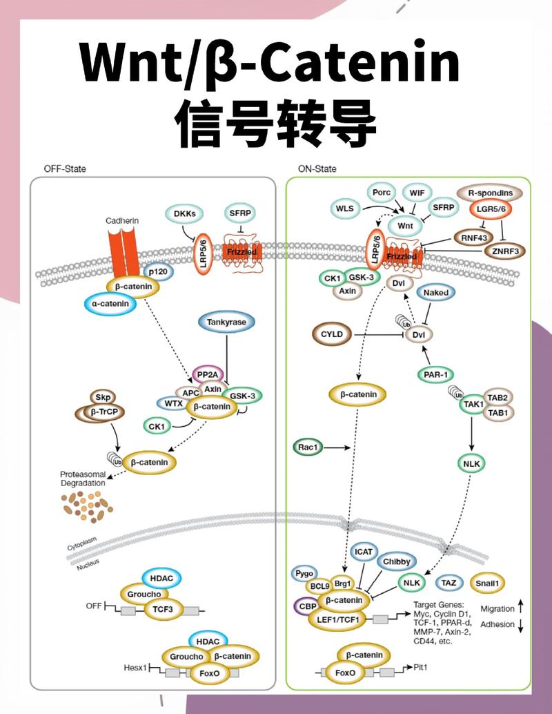 gv医学上代表什么意思图标