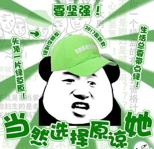 绿帽是什么意思网络语游戏截图