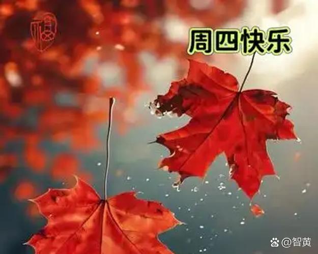 生万千欢喜心的意思图标