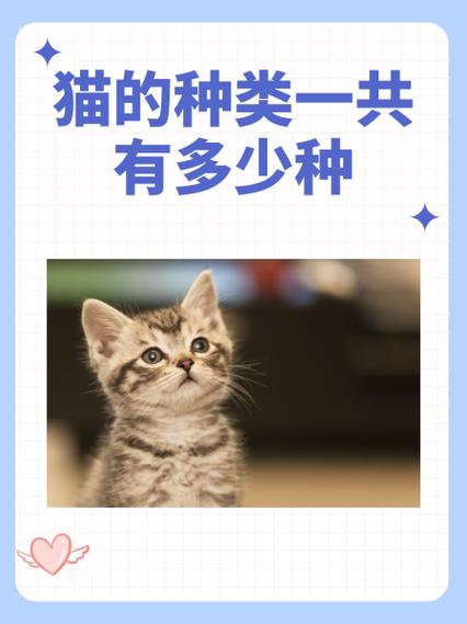 猫品种大全100种图片游戏截图