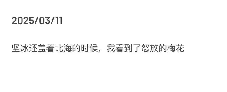 梅花网文案app介绍