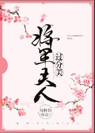 将军夫人过分美无广告