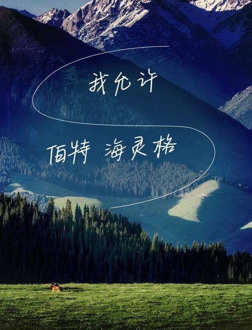lingo有中文版吗图标