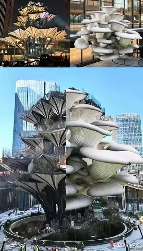 完美的重合缩略图