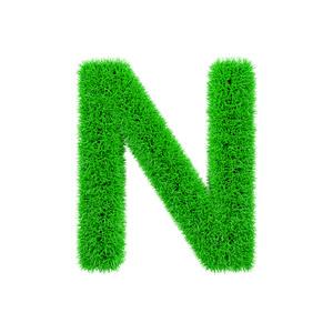 大写N是什么牌子缩略图