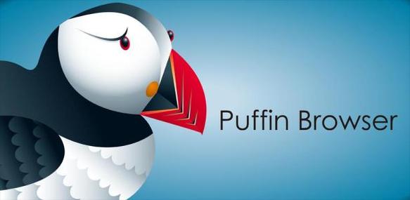 puffin无法连接网络缩略图