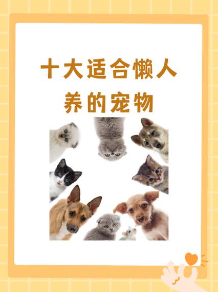 养什么宠物赚钱缩略图