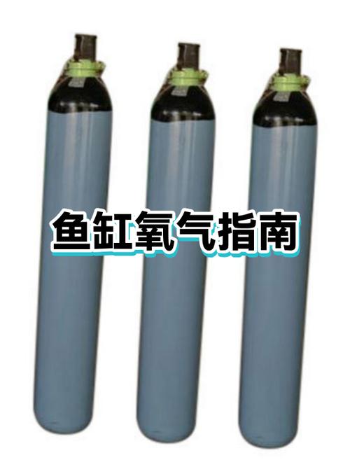 鱼缸过滤不打氧怎么回事图标