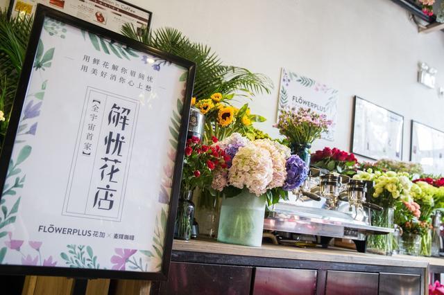 解忧花店赚钱缩略图