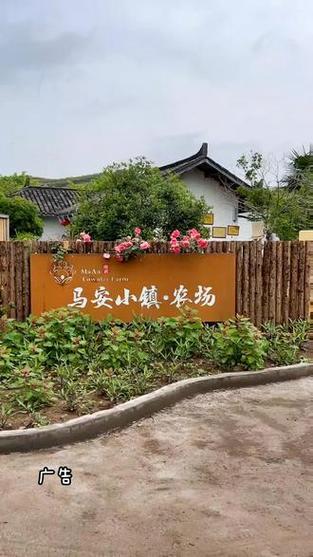 小镇农场缩略图