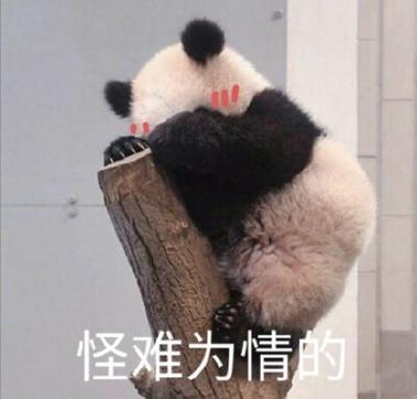难为情表情包图片大全
