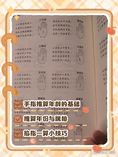 百指查询入口游戏截图