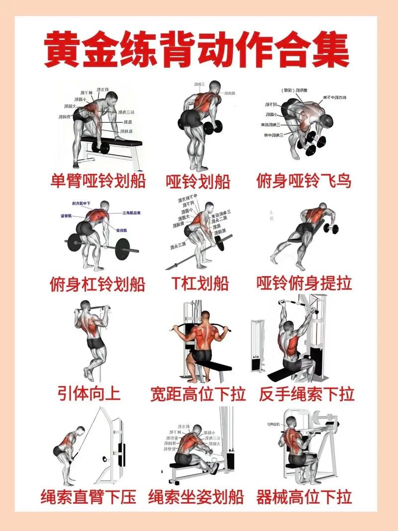 健身术100需要多少帮贡缩略图