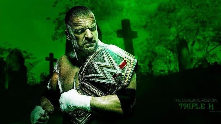 wwe热狂摔跤图标