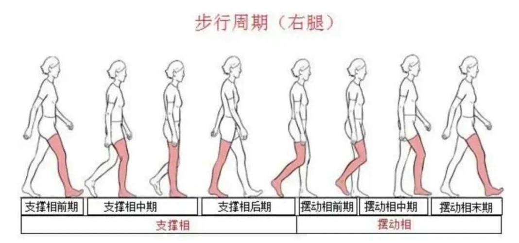走路的正确姿势游戏截图
