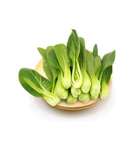 小油菜app官方下载