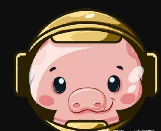 京猪游娱pig币游戏截图